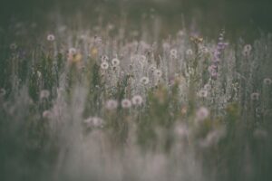 FOTO:Unsplash,Vanessa Ochotorena