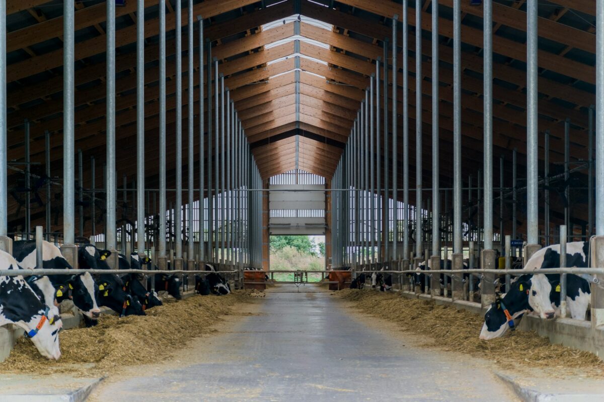 Poljoprivrednici blokirali Lidl: Traktori na ulicama zbog niskih cijena mlijeka i maslaca