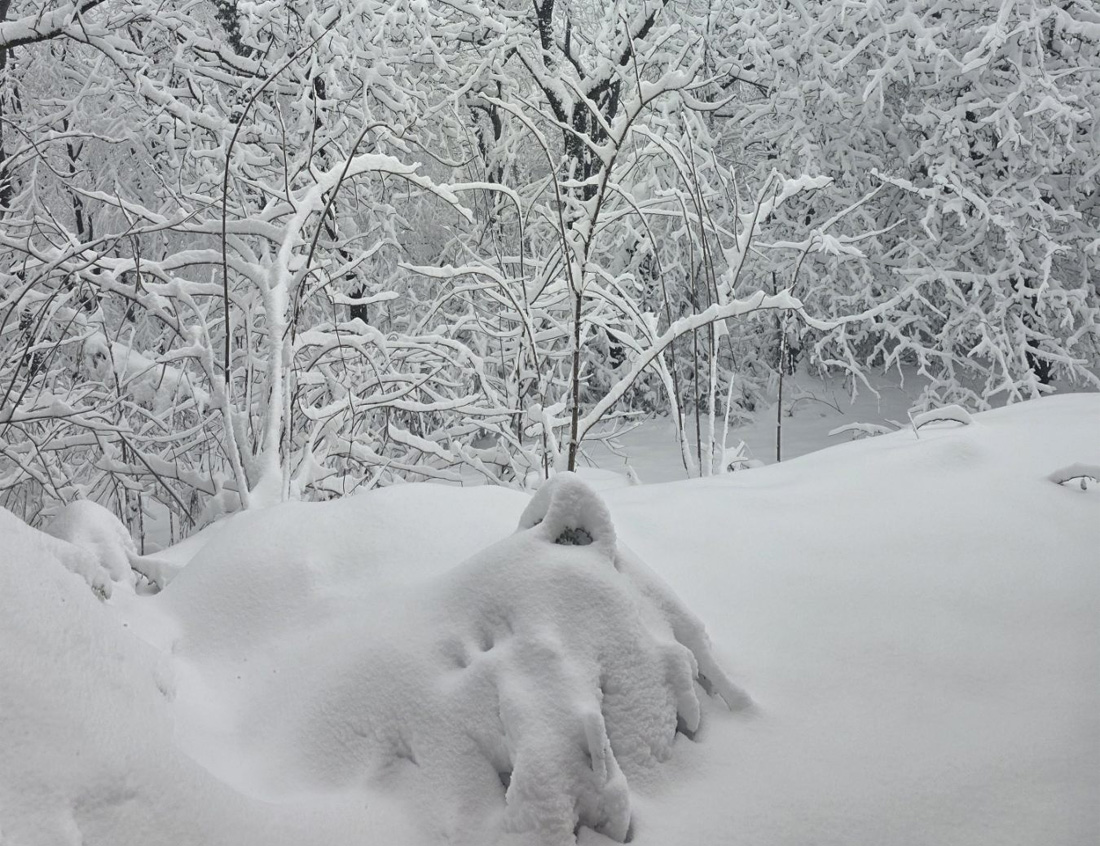 Snježne mećave paralizirale promet u Austriji i južnoj Njemačkoj