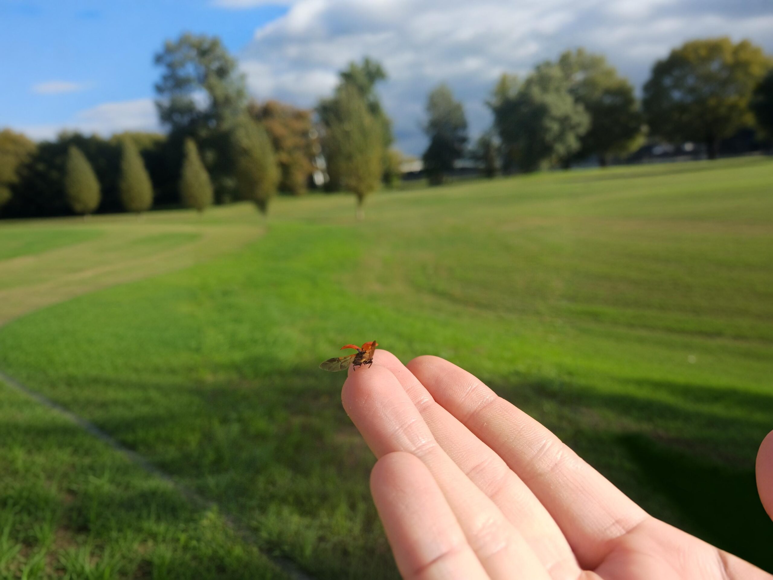 Ako prestanem, možda nestanem?