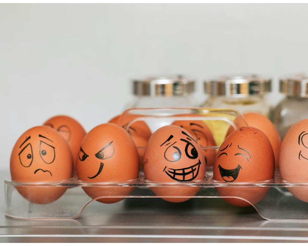 Uskrsna zagonetka koja muči čovječanstvo: Što je bilo prvo – kokoš ili jaje?