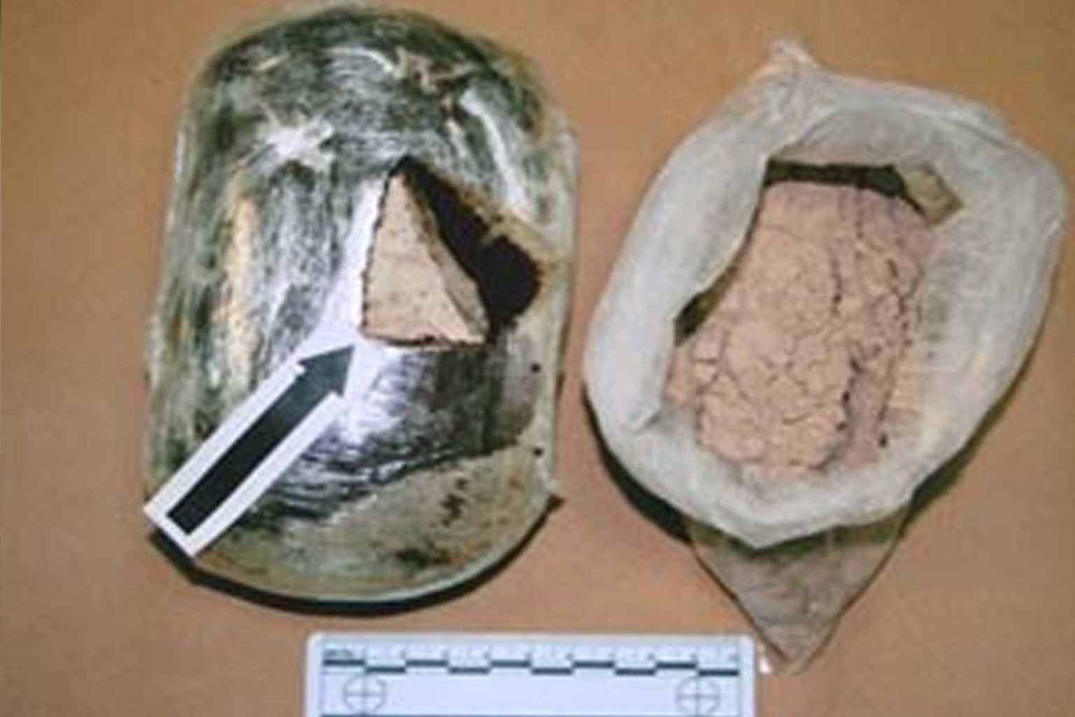 U pretrazi pronađen gotovo kilogram zelene biljne materije nalik na drogu marihuanu